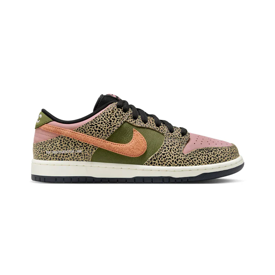 Nike SB Dunk Shoe Arts-Rec