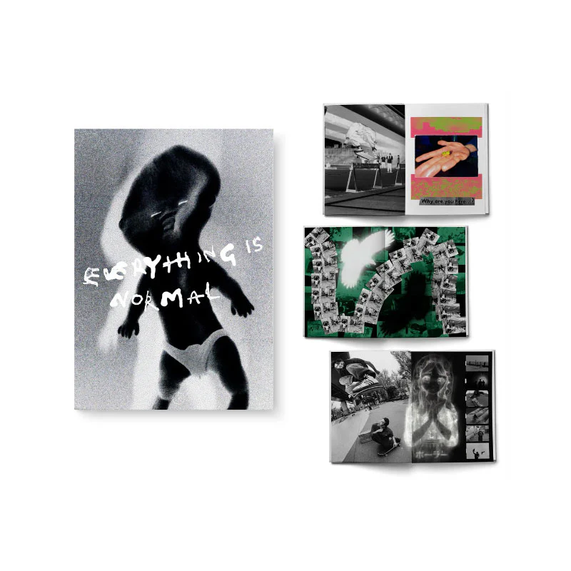 Polar Everything Is Normal Book