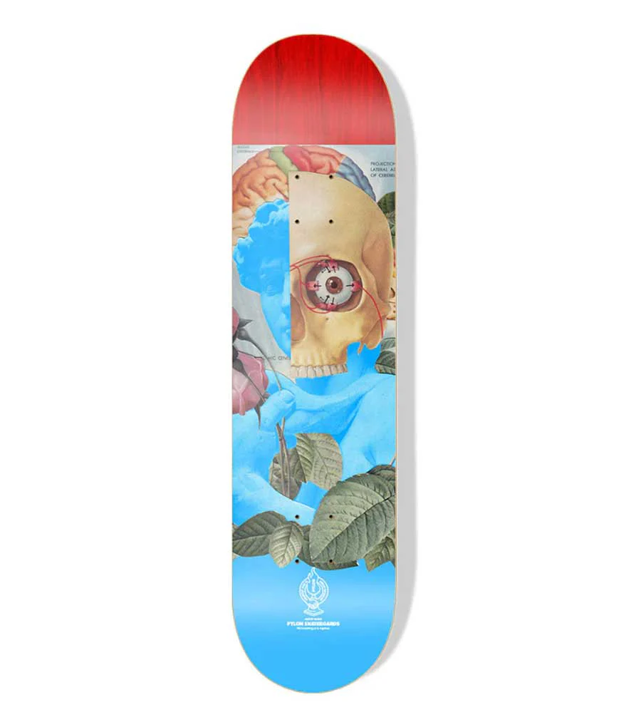 Pylon BEAUTY "Friendly Fire Randy Grskovic" Deck