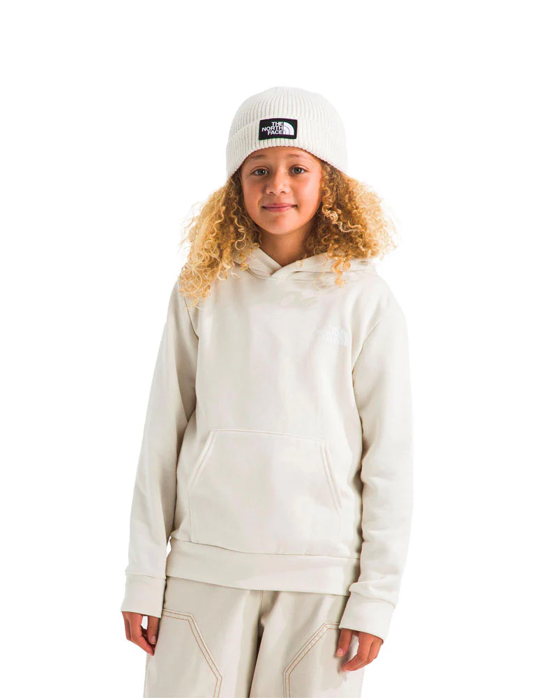 The North Face Kids' Evolution Box NSE P/O Hoodie Graphic White Dune 2026 - Image 2